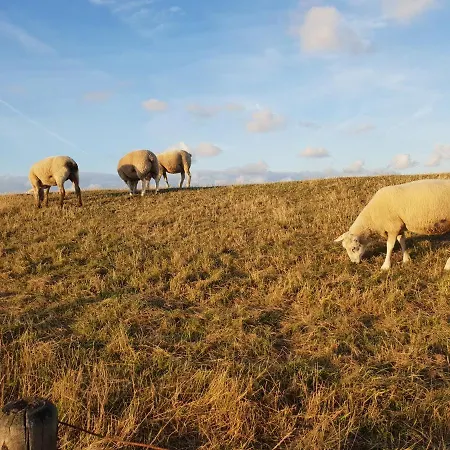 Loos Casa de Férias *